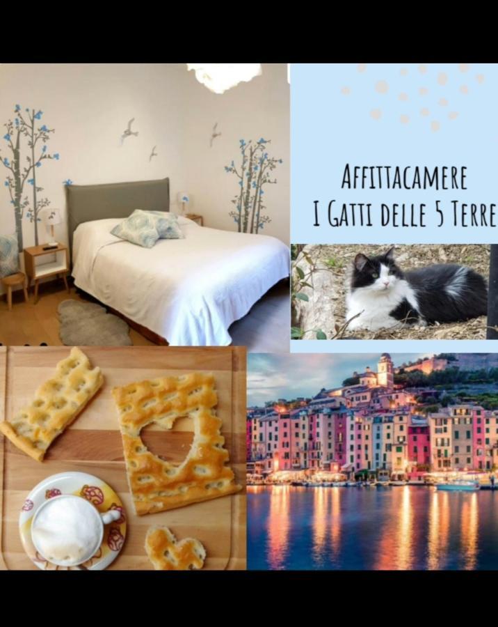 Affittacamere I Gatti Delle 5 Terre Специя Экстерьер фото